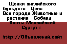 Щенки английского бульдога › Цена ­ 40 000 - Все города Животные и растения » Собаки   . Ханты-Мансийский,Сургут г.